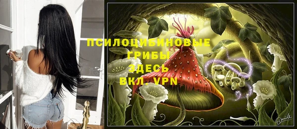 дмт Армянск