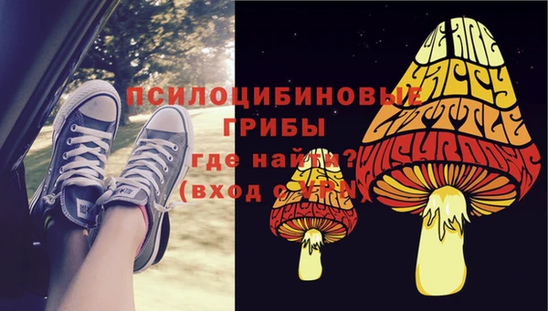 дмт Армянск